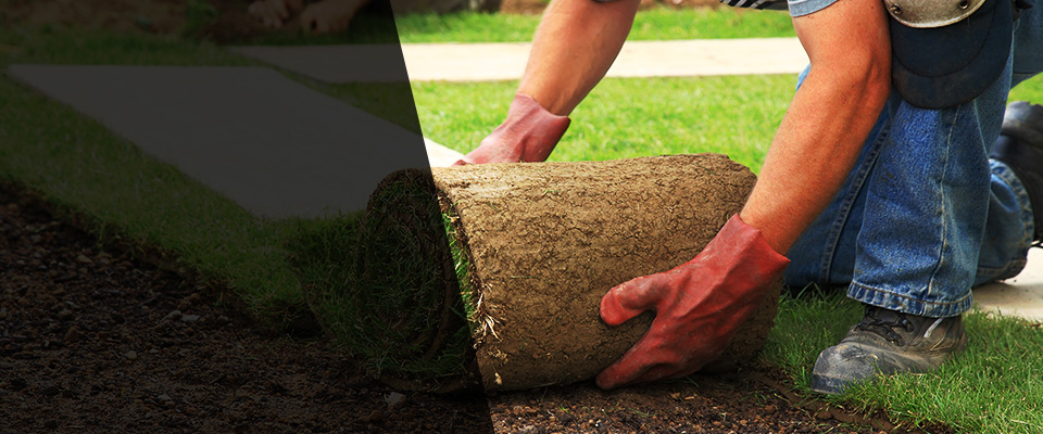 Signal Mountain Landscapers